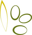 Olivo